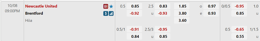 Ty le tran dau cua Newcastle vs Brentford tai W88